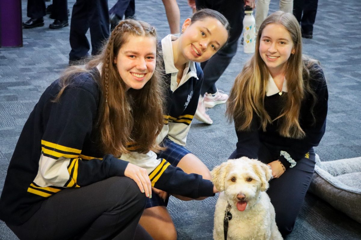 Meet Minnie: SFX school support dog - St Francis Xavier College